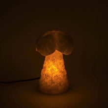 Load image into Gallery viewer, Natural Salt Lamp
