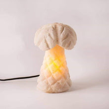 Load image into Gallery viewer, Natural Salt Lamp
